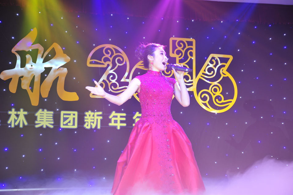 叢林鋁業(yè)2015年會(huì)歌舞表演12